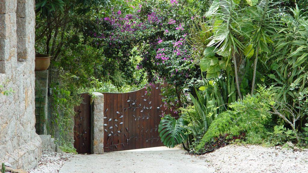 A wooden gate leads to a garden with plants and trees.