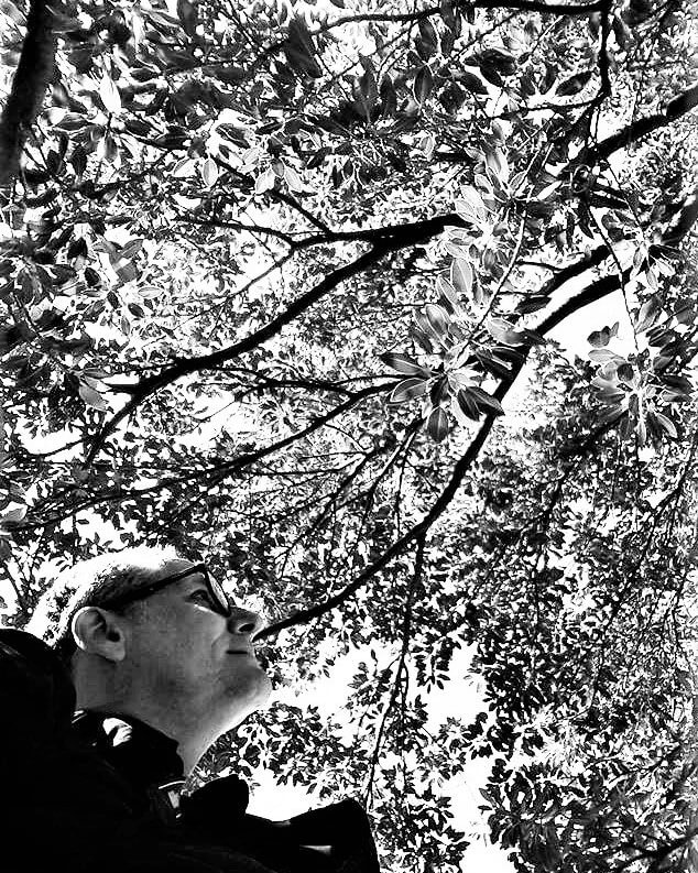 A black and white photo of Mauricio Tolosa looking up at a tree.