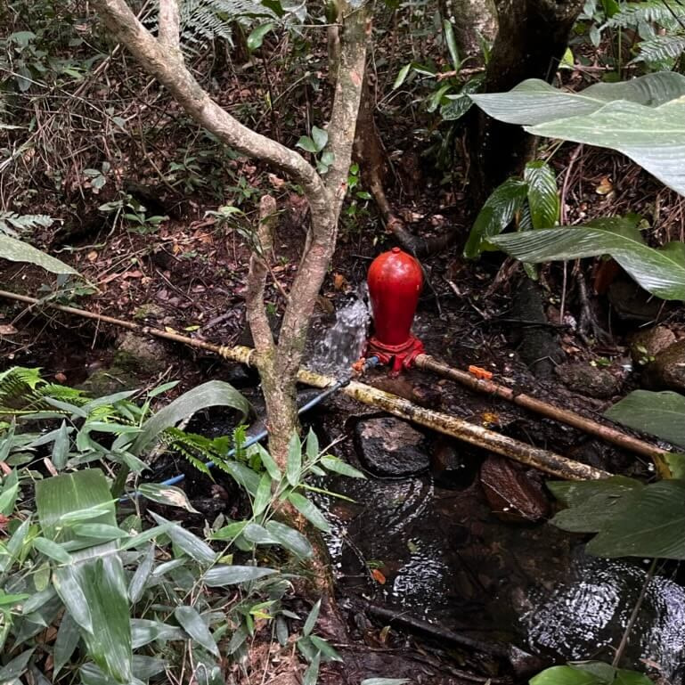 A red fire hydrant in the middle of a forest.